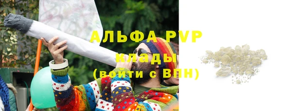 молекула духа Ельня