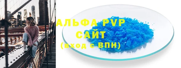 молекула духа Ельня