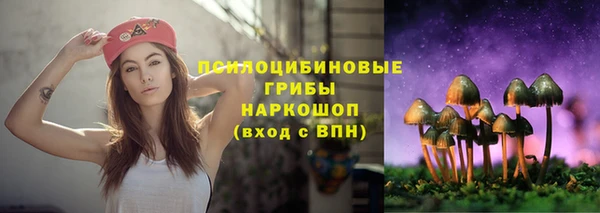 гидропоника Елабуга