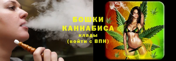 мдпв Елизово