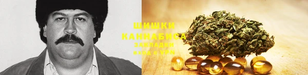 ПСИЛОЦИБИНОВЫЕ ГРИБЫ Заводоуковск