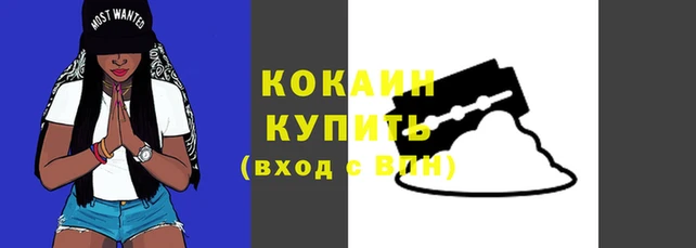мдпв Елизово