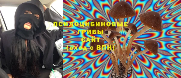 мдпв Елизово