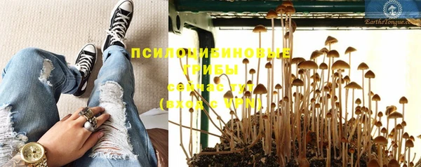 дживик Заволжье