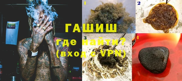 молекула духа Ельня