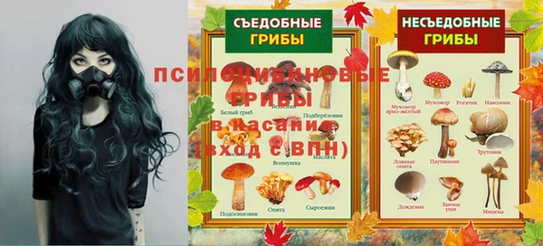 мдпв Елизово