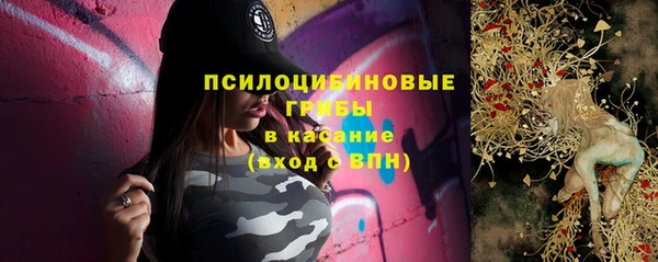молекула духа Ельня