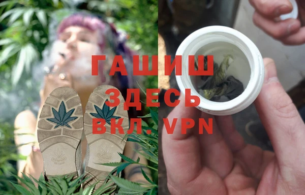 молекула духа Ельня