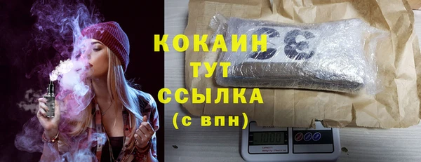 мдпв Елизово