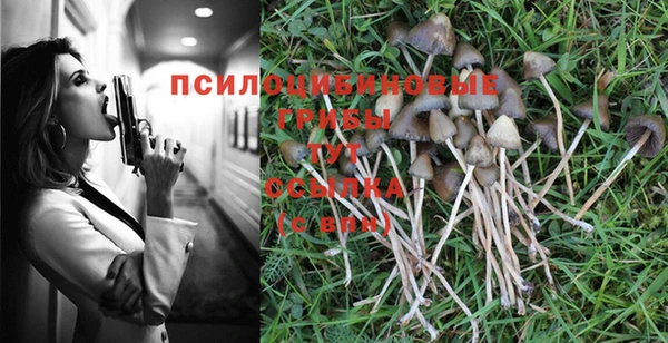мдпв Елизово