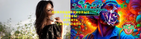 молекула духа Ельня