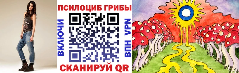 Псилоцибиновые грибы Psilocybine cubensis  где купить наркоту  Каргат 